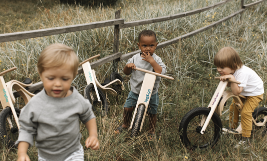 leg&go 3in1 Bike Test — Ehrlicher Langzeit-Test nach 12 Monaten