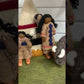 Montessori Indianerdorf Rollenspiel Set | Papoose Toys