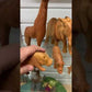 Holzspielzeug Tierfiguren Set – Kita Spielzeug für Rollenspiel | Papoose Toys